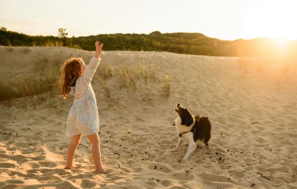 duien-hond-overnachten-hotel-paal-8-terschelling